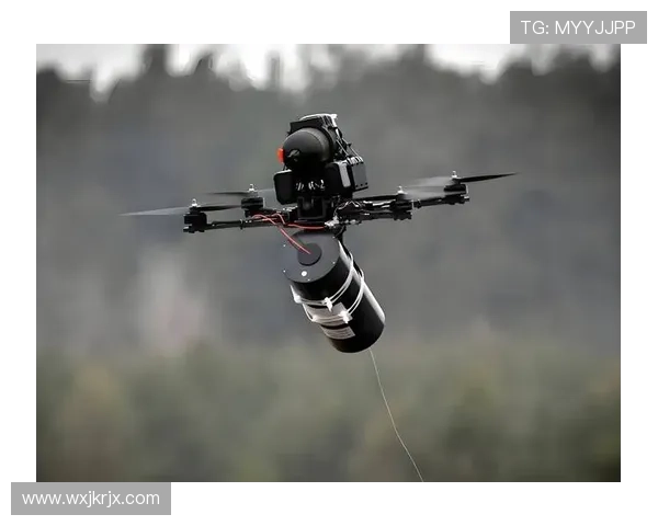 罗德里无人机遭投诉引隐私担忧 罗德里无人机遭投诉引隐私担忧